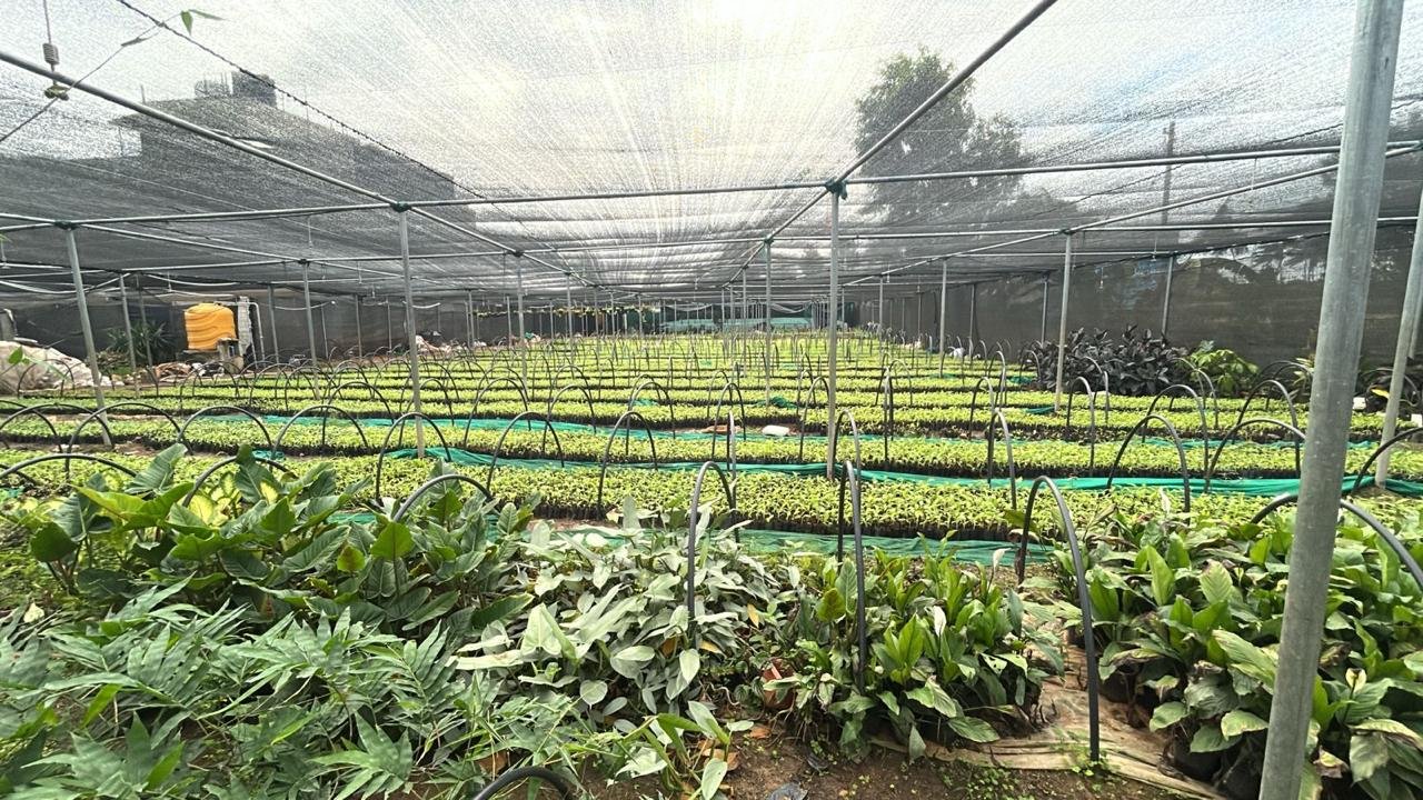 Production facility